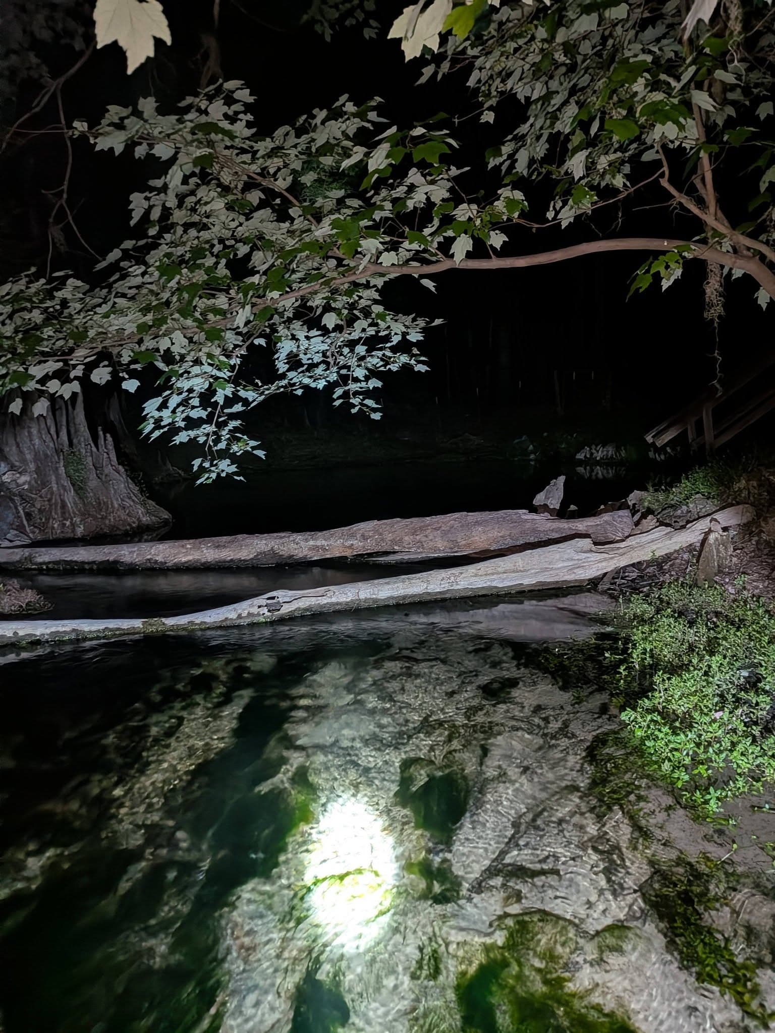 Pickard Springs at Night